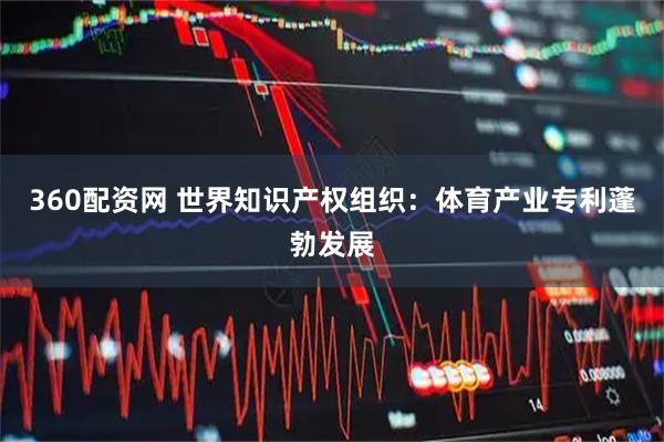 360配资网 世界知识产权组织：体育产业专利蓬勃发展